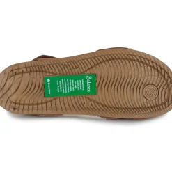 El Naturalista - BALANCE N5790