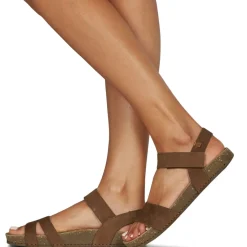 El Naturalista - BALANCE N5790