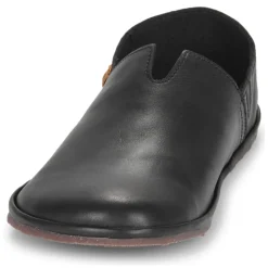 El Naturalista - BARE N5673