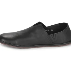 El Naturalista - BARE N5673