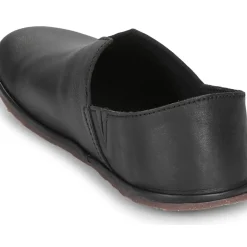 El Naturalista - BARE N5673