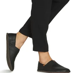 El Naturalista - BARE N5673
