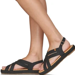 El Naturalista - BOSANA N5882