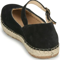 El Naturalista - CAMPOS N679