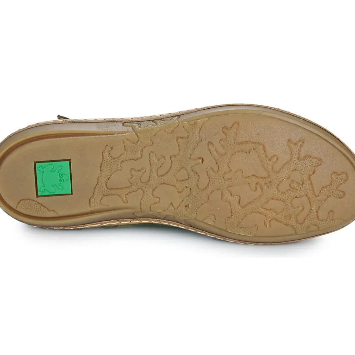 El Naturalista - CORAL 5349