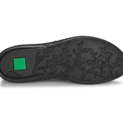El Naturalista - CORAL N5348