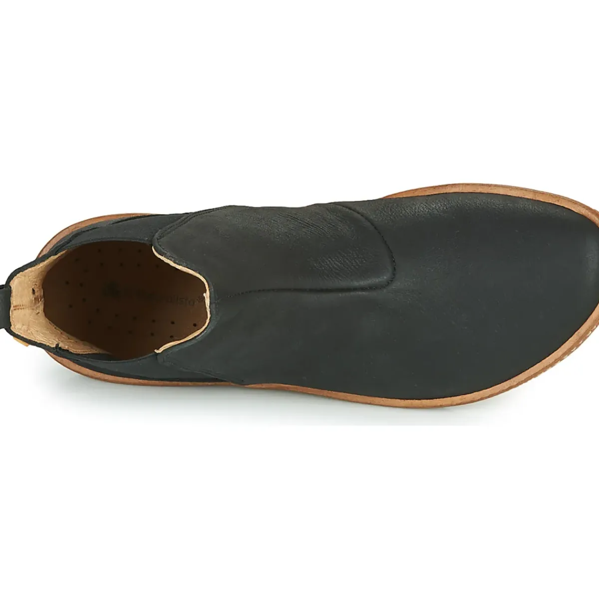 El Naturalista - CORAL N5310