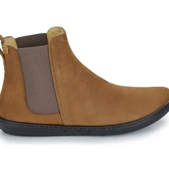 El Naturalista - CORAL N5310
