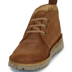 El Naturalista - FELSEN N5630