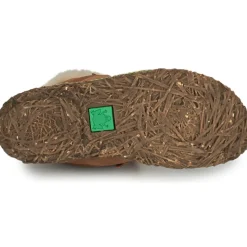 El Naturalista - NIDO ELLA N5449