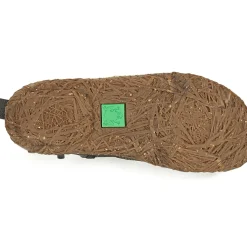 El Naturalista - NIDO ELLA N722