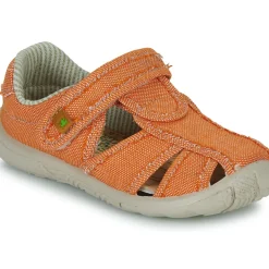 El Naturalista - NT74196