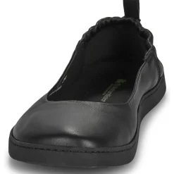 El Naturalista - ORIGEN N5912