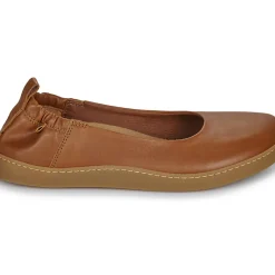 El Naturalista - ORIGEN N5912