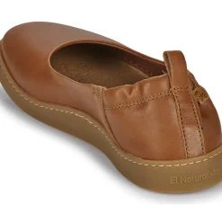 El Naturalista - ORIGEN N5912