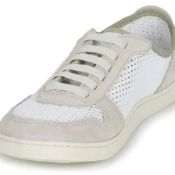 El Naturalista - ORIGEN N5914