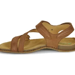 El Naturalista - PANGLAO N5810