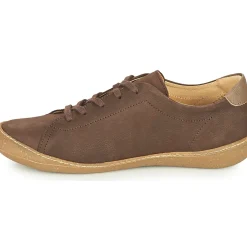 El Naturalista - PAWIKAN N5770