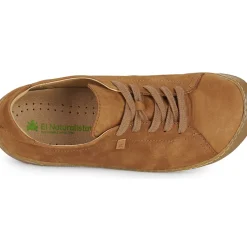 El Naturalista - PAWIKAN N5770