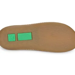 El Naturalista - PAWIKAN N5770