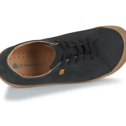 El Naturalista - PAWIKAN N5770