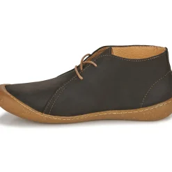 El Naturalista - PAWIKAN N5779P