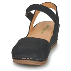 El Naturalista - PICUAL N5850