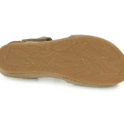 El Naturalista - PICUAL N5850
