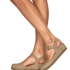 El Naturalista - PICUAL N5850