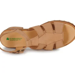 El Naturalista - SABAL N5800