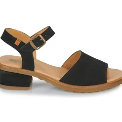 El Naturalista - SABAL N5801