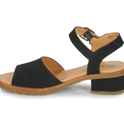 El Naturalista - SABAL N5801