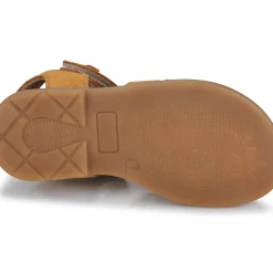 El Naturalista - 15275-SETTER