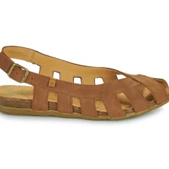 El Naturalista - STELLA N5213