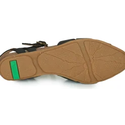 El Naturalista - STELLA N5207