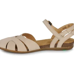 El Naturalista - STELLA N5207