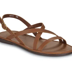 El Naturalista - TULIP N5694
