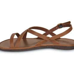 El Naturalista - TULIP N5694