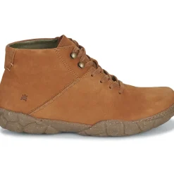 El Naturalista - TURTLE N5083