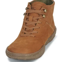 El Naturalista - TURTLE N5083