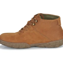 El Naturalista - TURTLE N5083