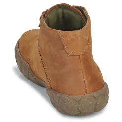 El Naturalista - TURTLE N5083
