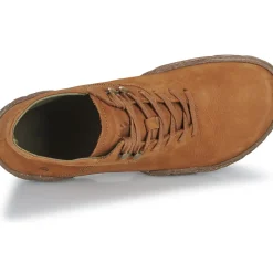 El Naturalista - TURTLE N5083