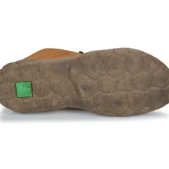 El Naturalista - TURTLE N5083