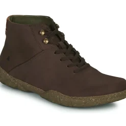 El Naturalista - TURTLE N5083