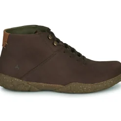 El Naturalista - TURTLE N5083