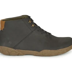 El Naturalista - TURTLE N5083