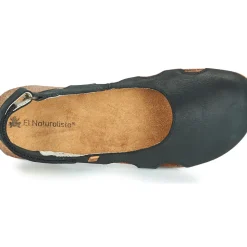El Naturalista - WAKATAUA N413