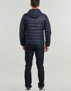 Emporio Armani EA7 - CORE IDENTITY DOWN JACKET HD