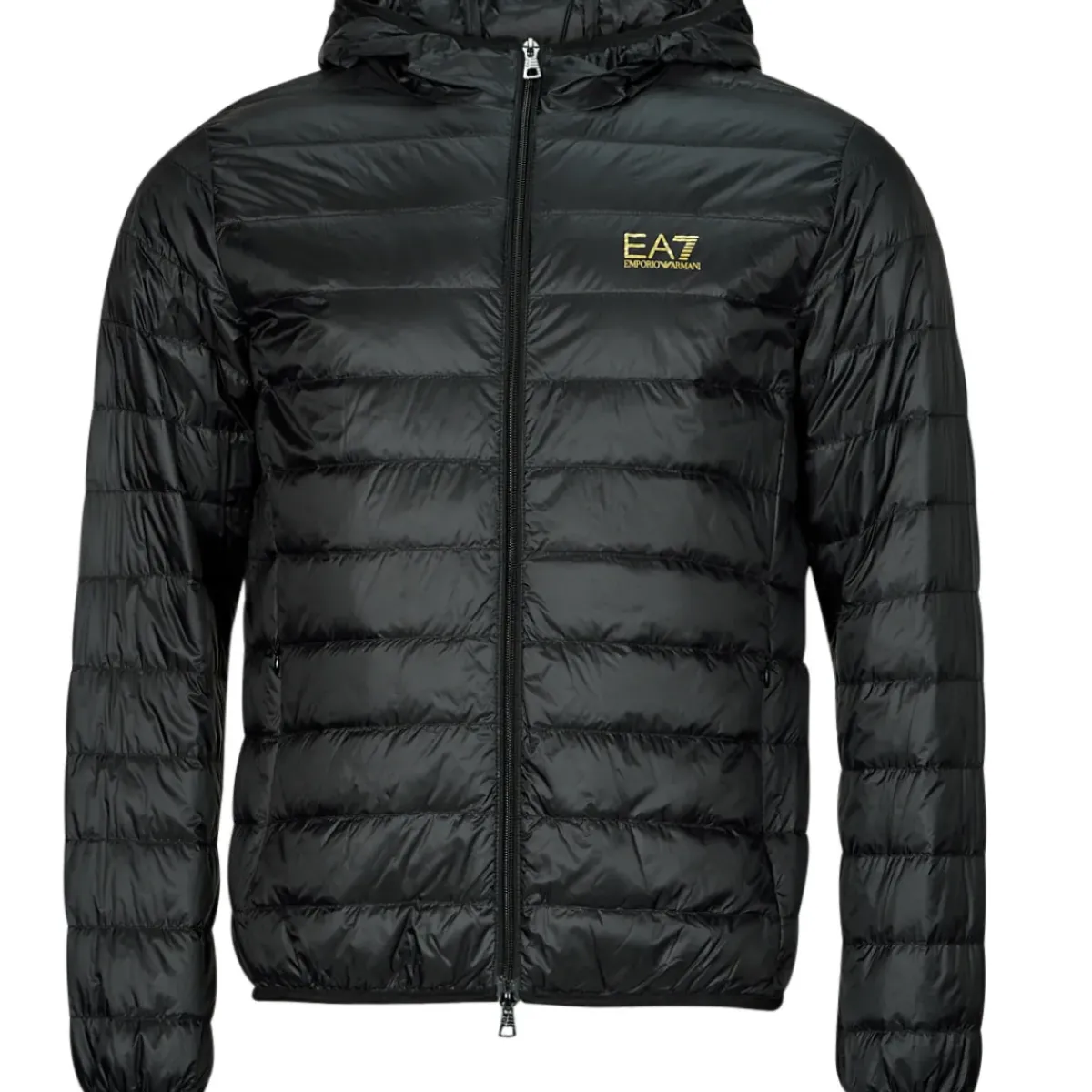 Emporio Armani EA7 - CORE IDENTITY DOWN JACKET HD